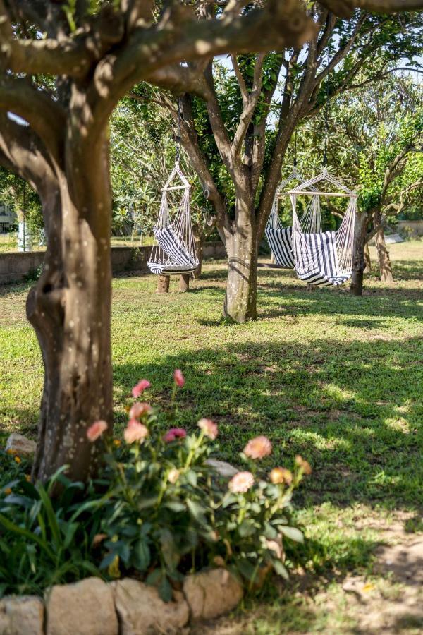 Villa Caterina B&B Procida Eksteriør bilde