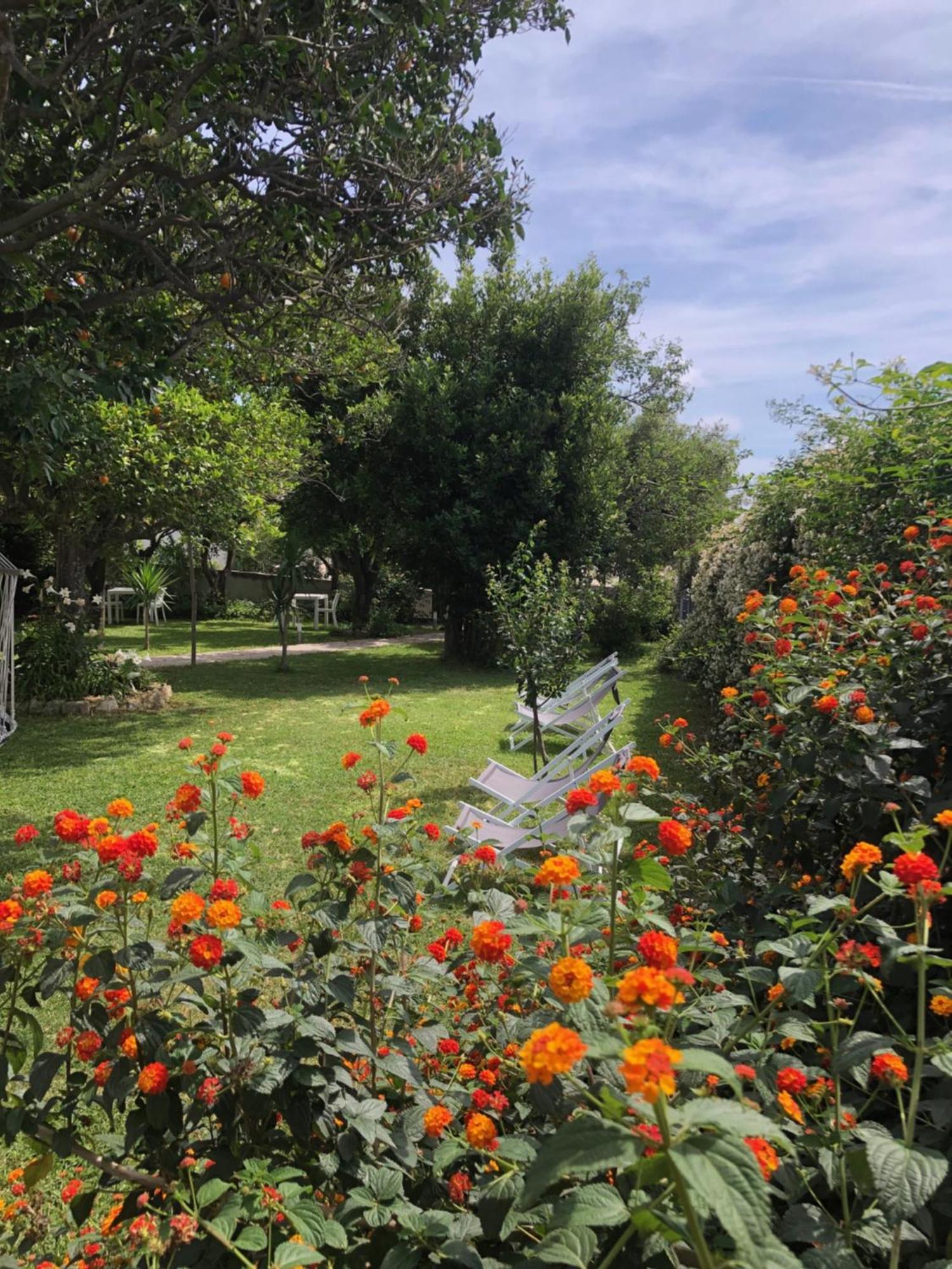 Villa Caterina B&B Procida Eksteriør bilde